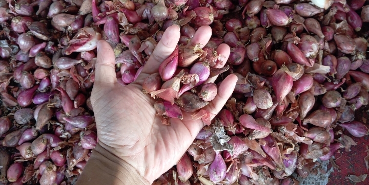 Pasokan Bawang Merah di Kota Bandung Jelang Idul Adha