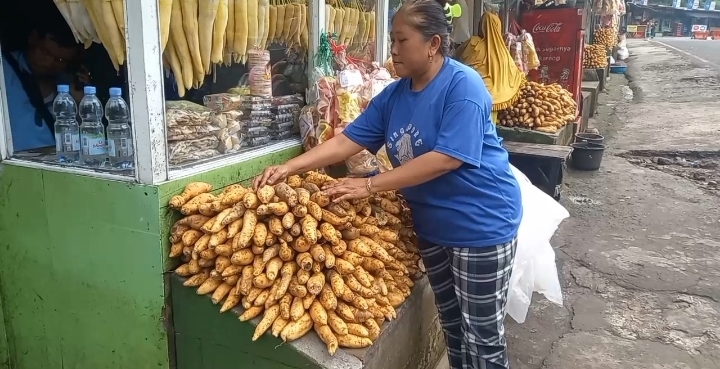 Kembangkan Ubi Cilembu Lewat Kultur Jaringan dan Hilirisasi