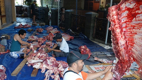Baru 104 Ekor Masuk RPH Kota Bandung, Pemotongan Hewan Kurban 2026 Menurun
